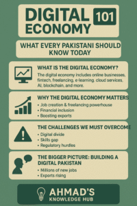 Digital Economy 101 What Every Pakistani Should Know Today Infographic